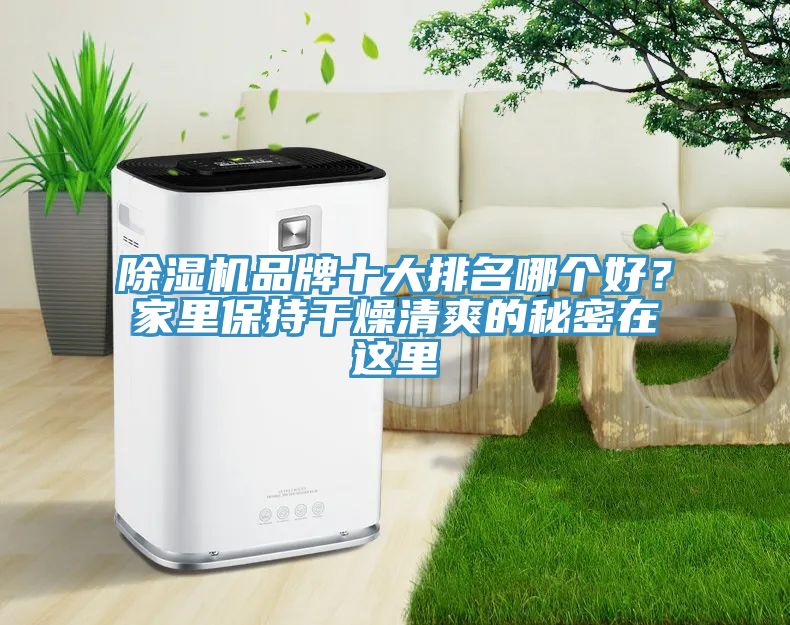 深夜福利视频网站品牌十大排名哪個好？家裏保持幹燥清爽的秘密在這裏