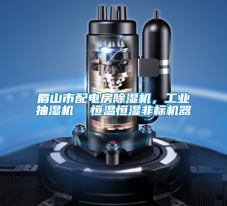 眉山市配電房深夜福利视频网站，工業抽濕機  恒溫恒濕非標機器