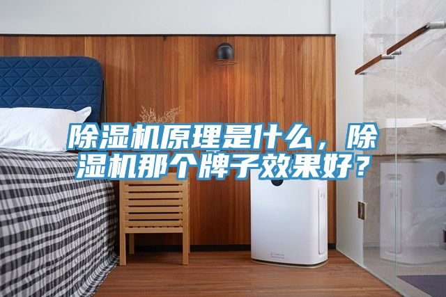 深夜福利视频网站原理是什麽，深夜福利视频网站那個牌子效果好？