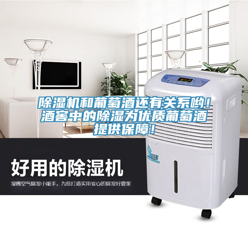 深夜福利视频网站和葡萄酒還有關係喲！酒窖中的除濕為優質葡萄酒提供保障！