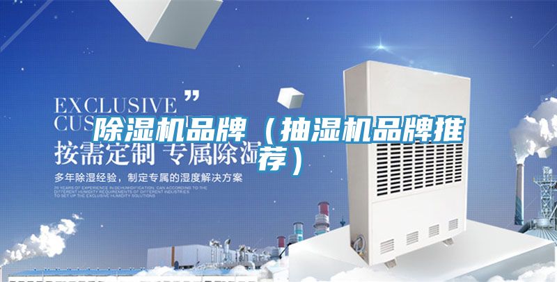 深夜福利视频网站品牌（抽濕機品牌推薦）