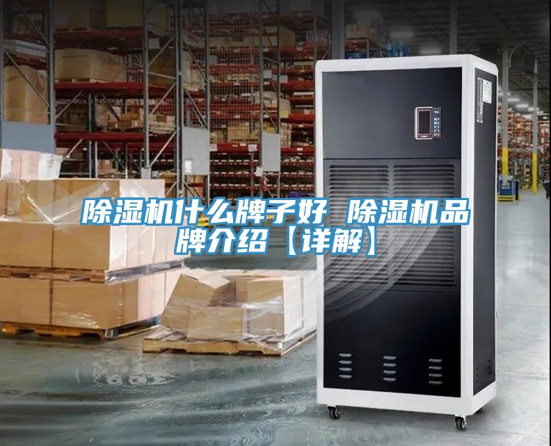 深夜福利视频网站什麽牌子好 深夜福利视频网站品牌介紹【詳解】