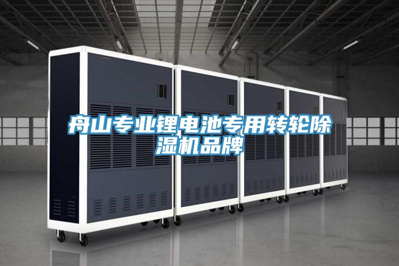 舟山專業鋰電池專用轉輪深夜福利视频网站品牌