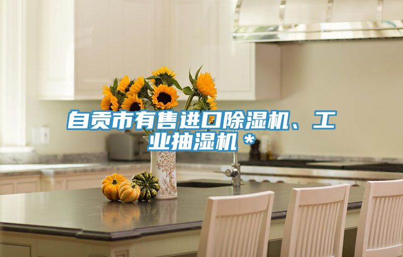 自貢市有售進口深夜福利视频网站、工業抽濕機＊