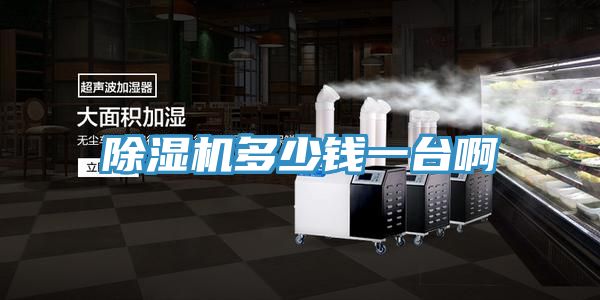 深夜福利视频网站多少錢一台啊