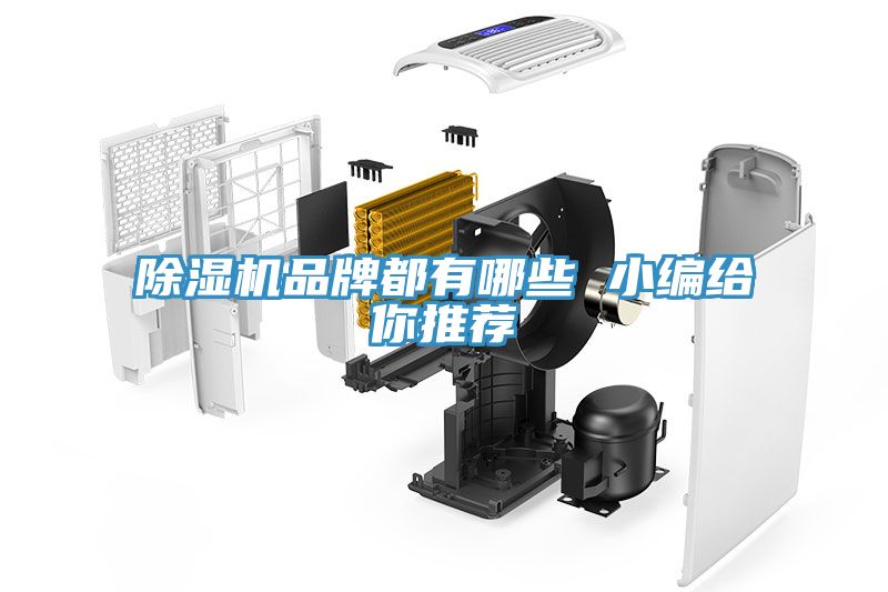 深夜福利视频网站品牌都有哪些 小編給你推薦