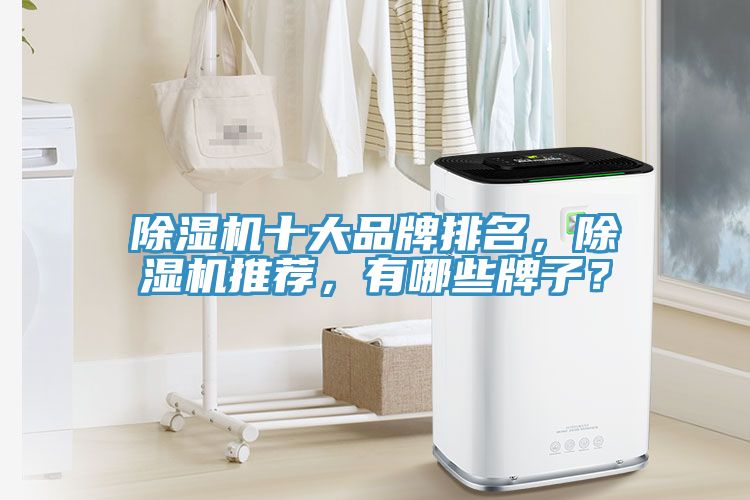 深夜福利视频网站十大品牌排名，深夜福利视频网站推薦，有哪些牌子？