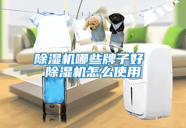 深夜福利视频网站哪些牌子好 深夜福利视频网站怎麽使用