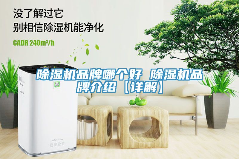 深夜福利视频网站品牌哪個好 深夜福利视频网站品牌介紹【詳解】