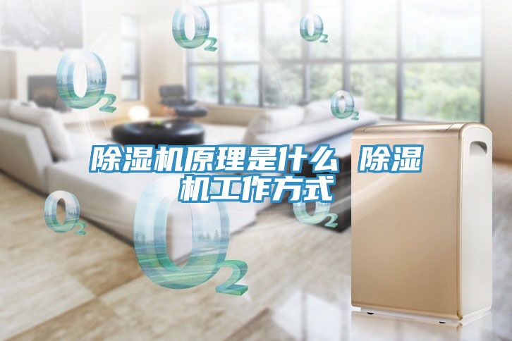 深夜福利视频网站原理是什麽 深夜福利视频网站工作方式