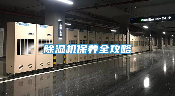 深夜福利视频网站保養全攻略