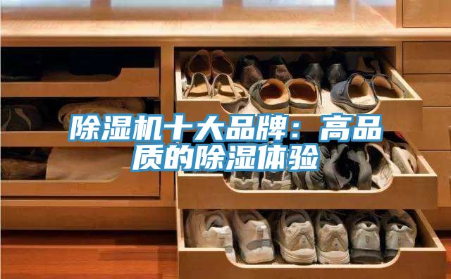 深夜福利视频网站十大品牌：高品質的除濕體驗