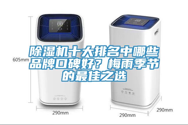 深夜福利视频网站十大排名中哪些品牌口碑好？梅雨季節的最佳之選