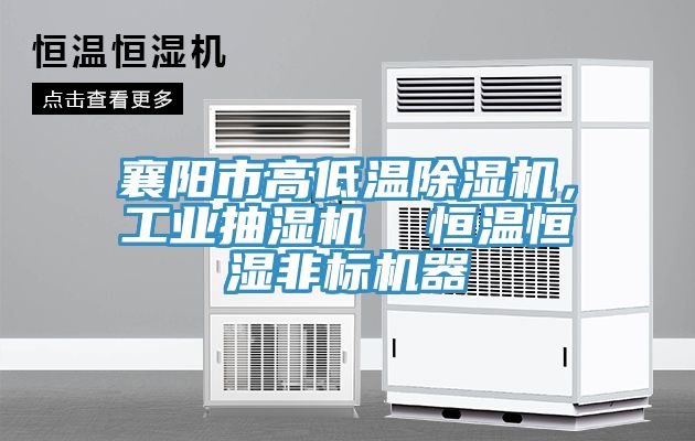 襄陽市高低溫深夜福利视频网站，工業抽濕機  恒溫恒濕非標機器