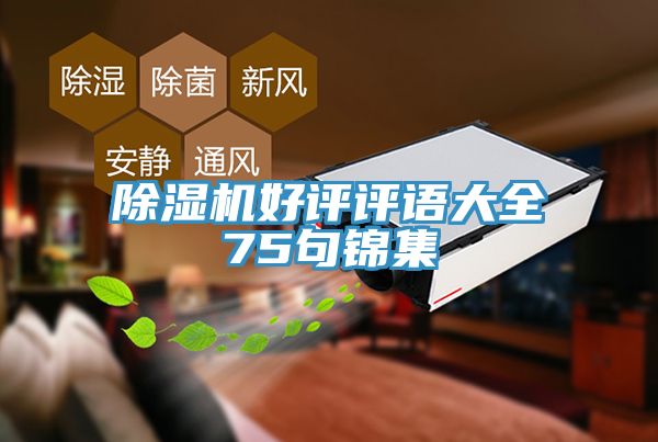 深夜福利视频网站好評評語大全75句錦集