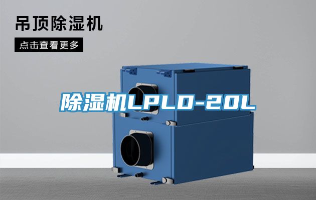 深夜福利视频网站LPLD-20L