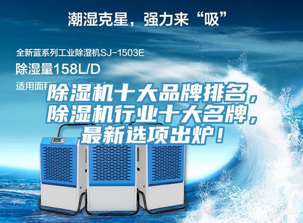 深夜福利视频网站十大品牌排名，深夜福利视频网站行業十大名牌，最新選項出爐！
