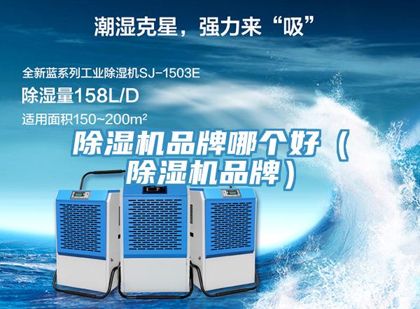 深夜福利视频网站品牌哪個好（深夜福利视频网站品牌）