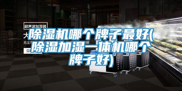 深夜福利视频网站哪個牌子最好(除濕加濕一體機哪個牌子好)