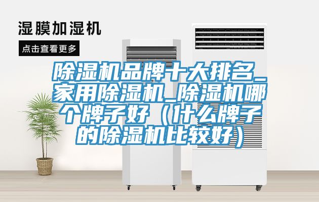 深夜福利视频网站品牌十大排名_家用深夜福利视频网站_深夜福利视频网站哪個牌子好（什麽牌子的深夜福利视频网站比較好）