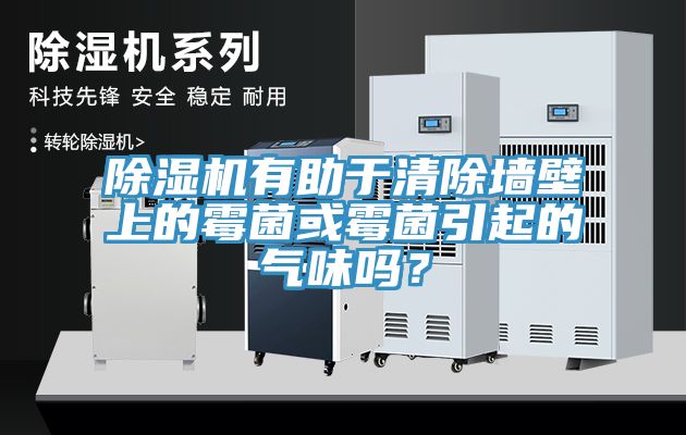 深夜福利视频网站有助於清除牆壁上的黴菌或黴菌引起的氣味嗎？