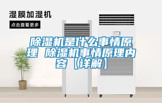 深夜福利视频网站是什麽事情原理 深夜福利视频网站事情原理內容【詳解】