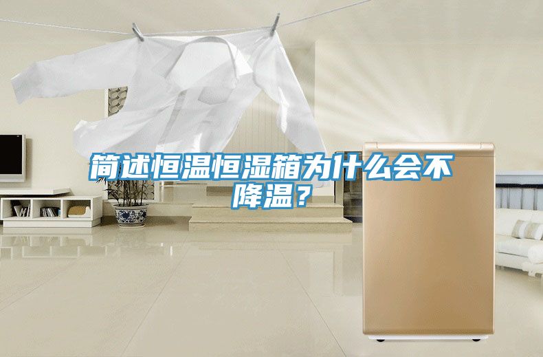 簡述恒溫恒濕箱為什麽會不降溫？