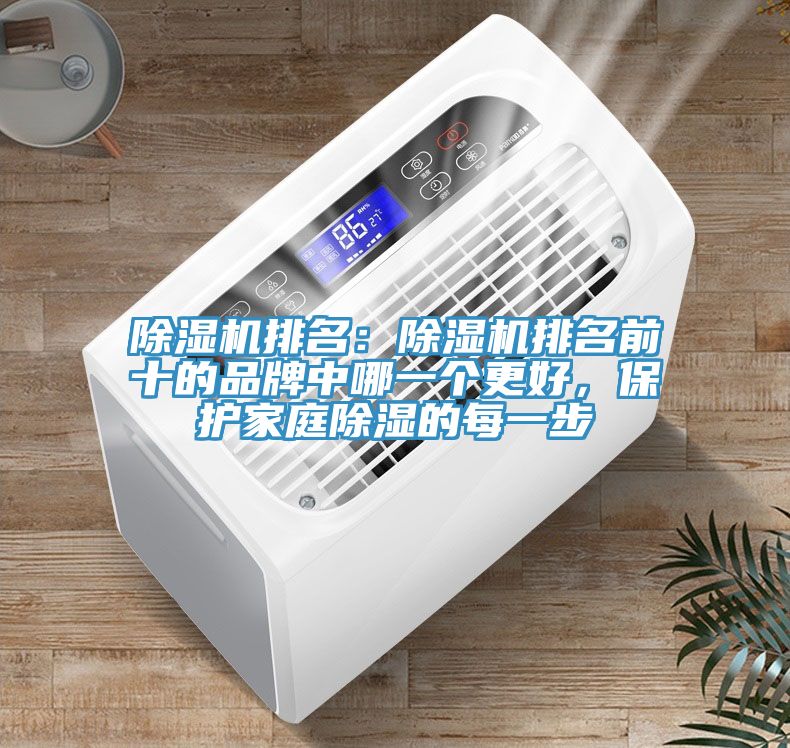 深夜福利视频网站排名：深夜福利视频网站排名前十的品牌中哪一個更好，保護家庭除濕的每一步