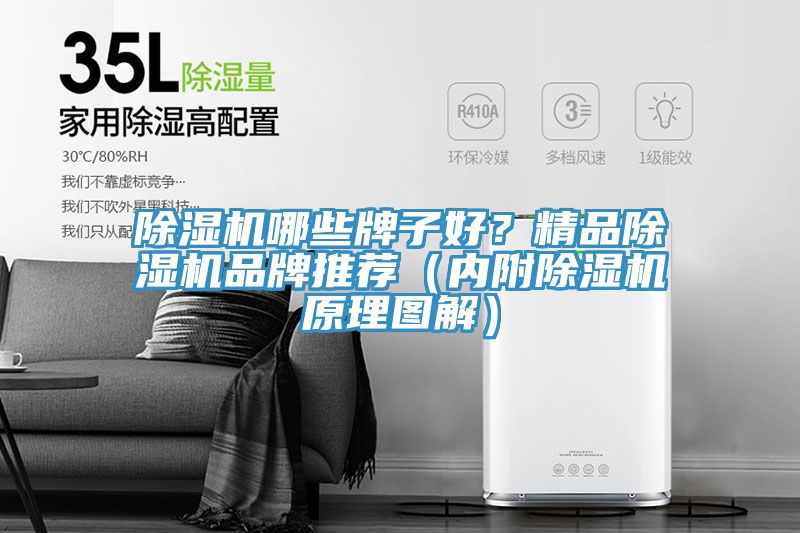 深夜福利视频网站哪些牌子好？精品深夜福利视频网站品牌推薦（內附深夜福利视频网站原理圖解）