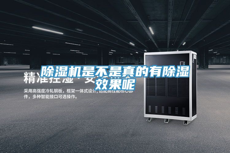 深夜福利视频网站是不是真的有除濕效果呢
