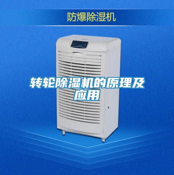 轉輪深夜福利视频网站的原理及應用
