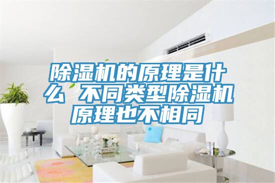 深夜福利视频网站的原理是什麽 不同類型深夜福利视频网站原理也不相同