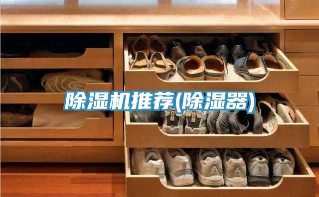 深夜福利视频网站推薦(除濕器)
