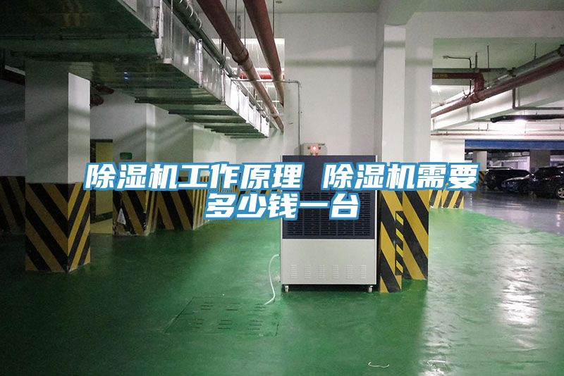 深夜福利视频网站工作原理 深夜福利视频网站需要多少錢一台