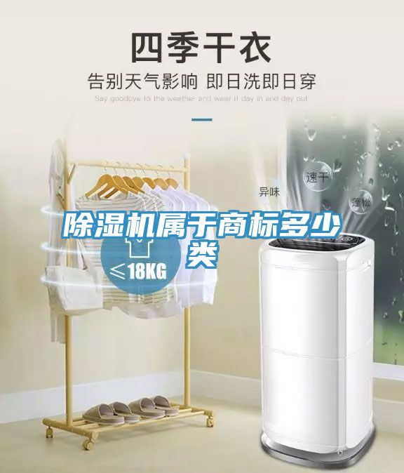 深夜福利视频网站屬於商標多少類