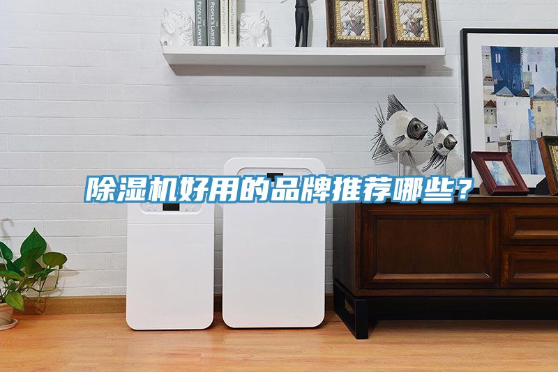 深夜福利视频网站好用的品牌推薦哪些？