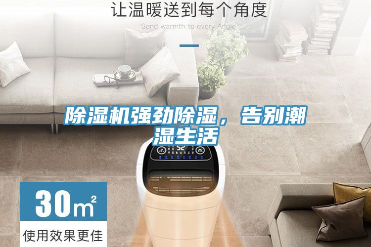 深夜福利视频网站強勁除濕，告別潮濕生活
