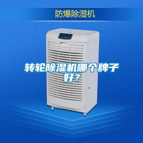 轉輪深夜福利视频网站哪個牌子好？