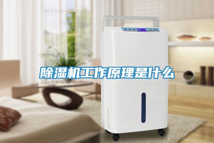 深夜福利视频网站工作原理是什麽