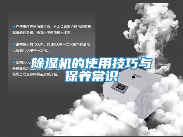 深夜福利视频网站的使用技巧與保養常識