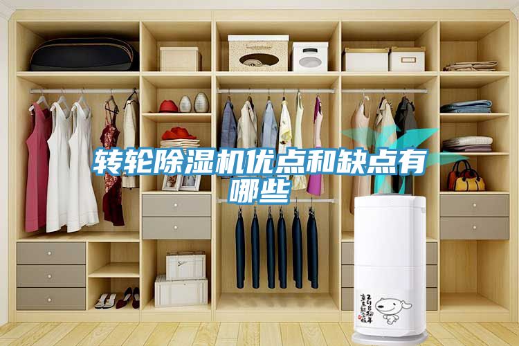 轉輪深夜福利视频网站優點和缺點有哪些