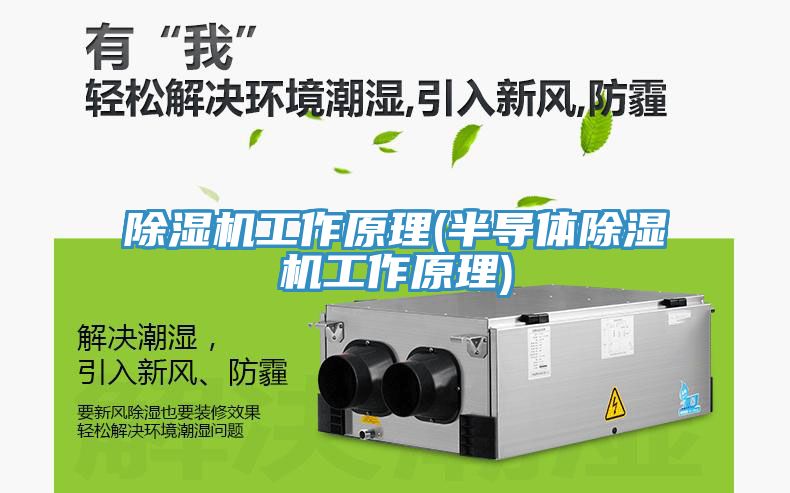 深夜福利视频网站工作原理(半導體深夜福利视频网站工作原理)