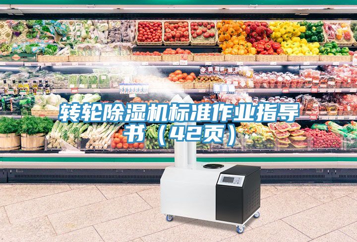 轉輪深夜福利视频网站標準作業指導書（42頁）
