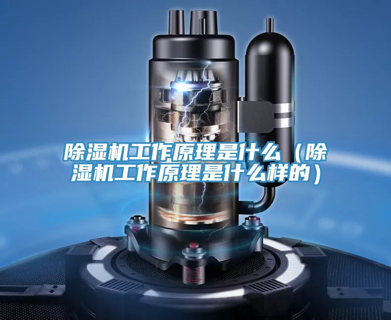 深夜福利视频网站工作原理是什麽（深夜福利视频网站工作原理是什麽樣的）