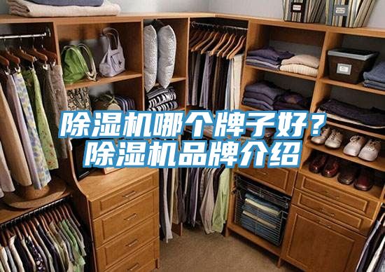 深夜福利视频网站哪個牌子好？深夜福利视频网站品牌介紹