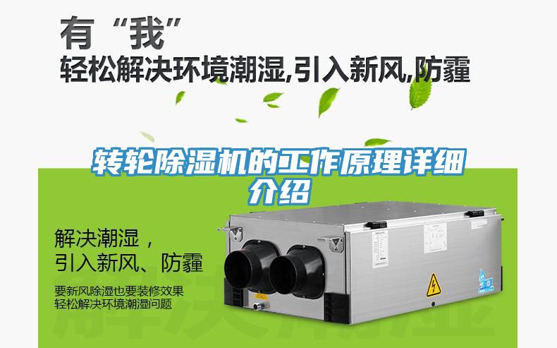 轉輪深夜福利视频网站的工作原理詳細介紹