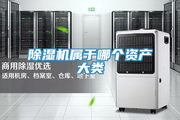 深夜福利视频网站屬於哪個資產大類