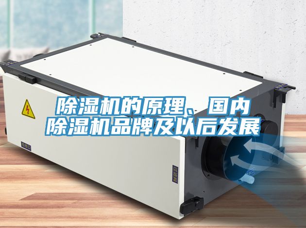 深夜福利视频网站的原理、國內深夜福利视频网站品牌及以後發展