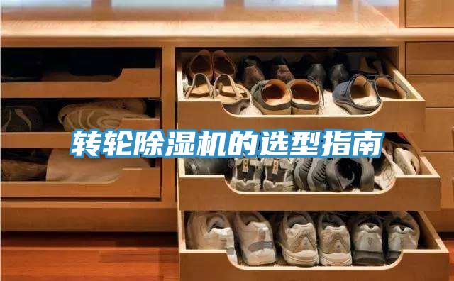 轉輪深夜福利视频网站的選型指南
