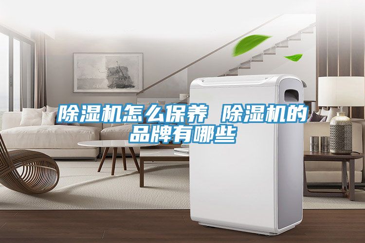 深夜福利视频网站怎麽保養 深夜福利视频网站的品牌有哪些